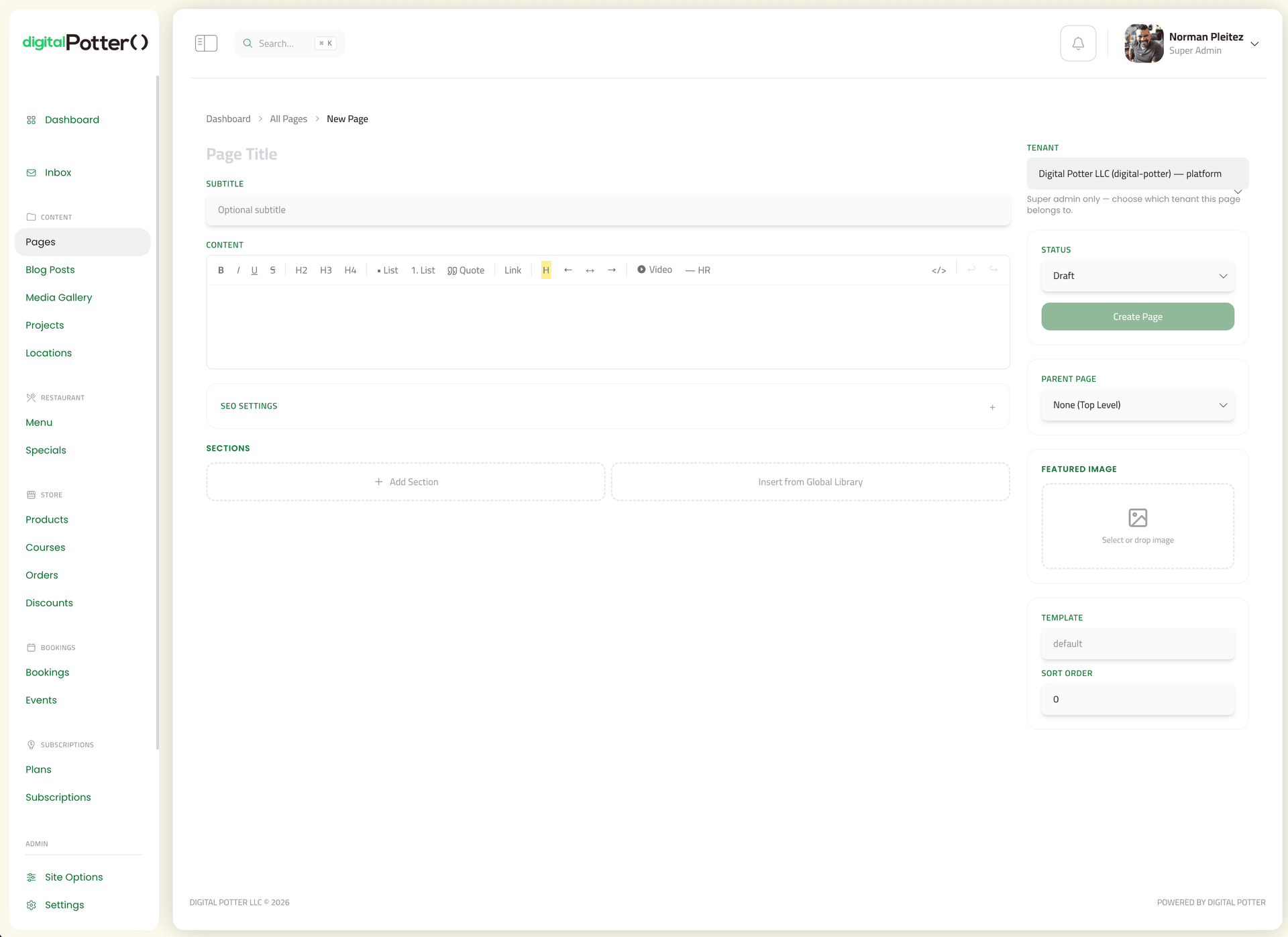 theDavid page editor with rich-text toolbar and SEO settings
